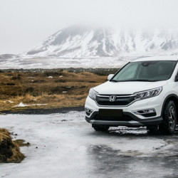 Vehicle Rental